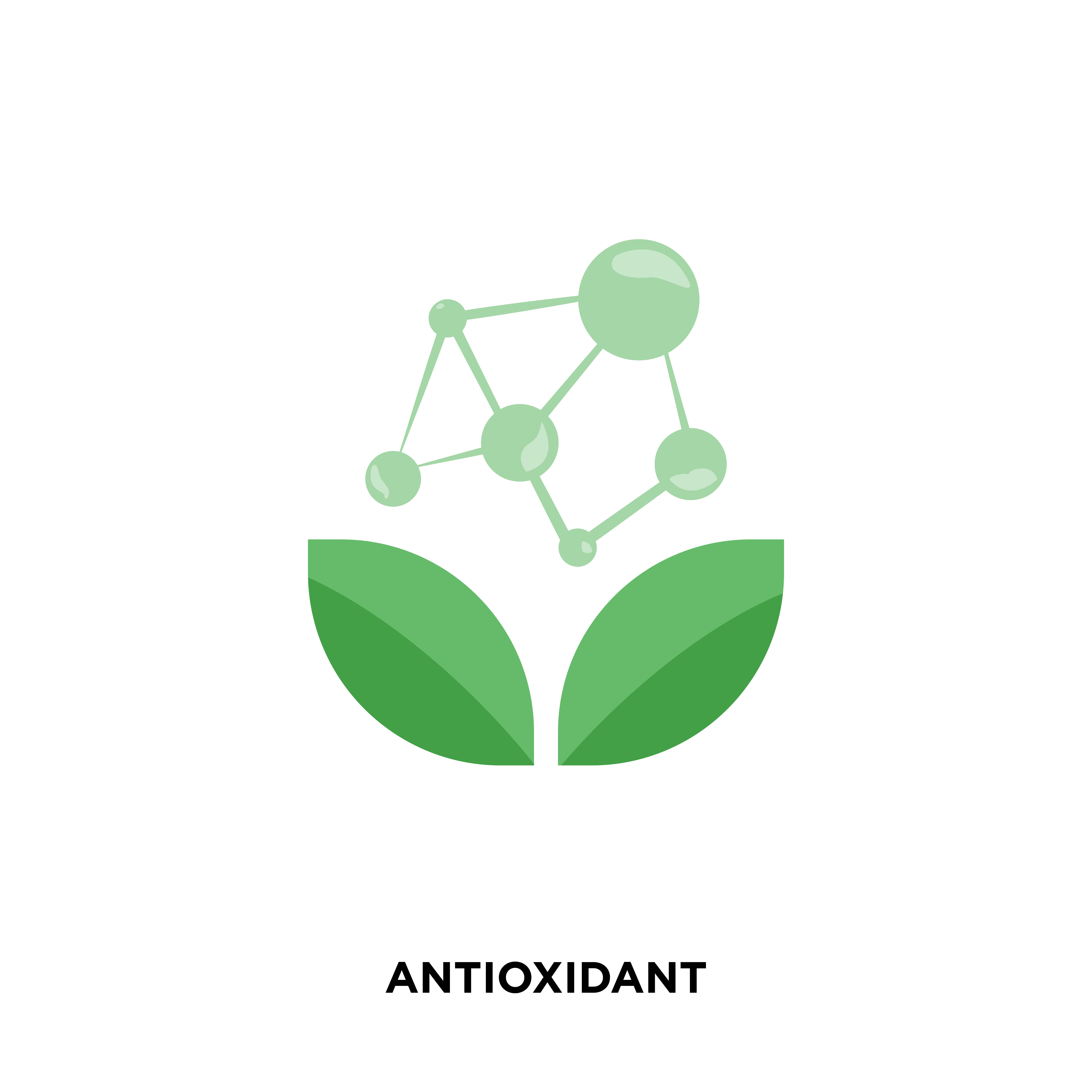 what are antioxidants